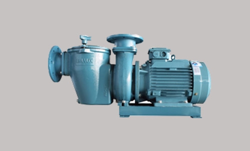 SE Series Pumps